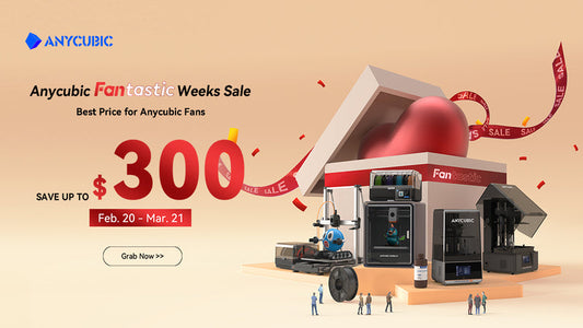 ANYCUBIC Fanatic Weeks Sale terms and conditions