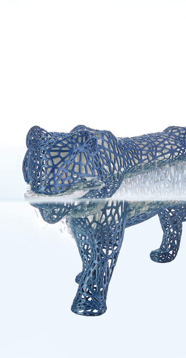 ANYCUBIC-STORE